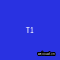 T1